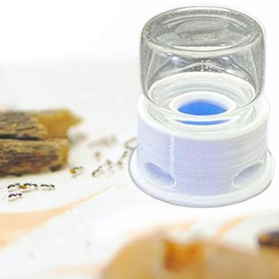 Ant Feeder Crickets Water Station Anti-Drowning Transparent Drinking Feeder for Ant Bee Crickets Home Classroom Outdoors