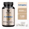 Contains Astragalus Extract, 4500 Mg Per Serving, All-natural, Gentle and Easily Absorbed, Suitable for Adults.