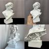 European Style Aphrodite Head Resin Art Sculpture For Home Decor And Artistic Display