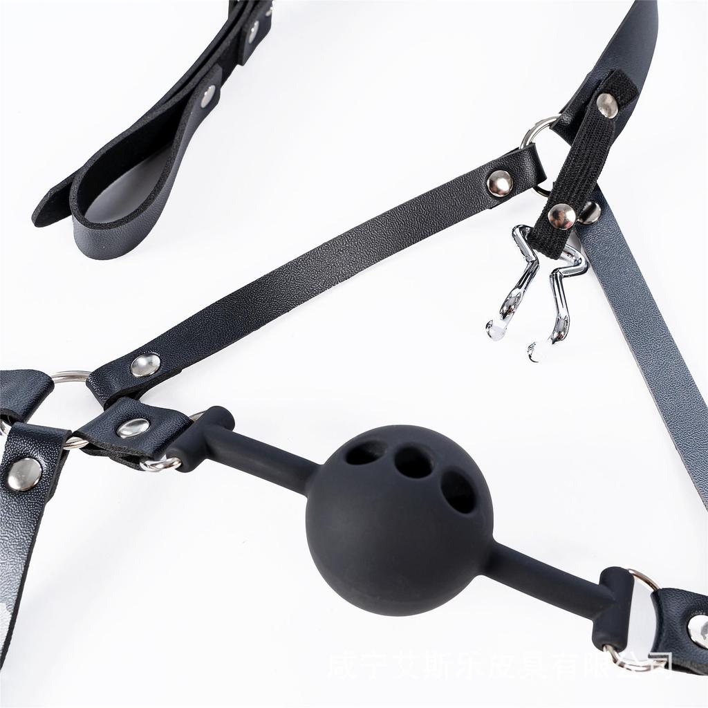 Silikon Ball Gag mit Geschirr & Nasenhaken - Adult SM Training