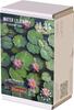 RT Diorama Set Ninfee Diorama Scenografia Kit Modello RTD35410 1/35 N.2 (Scenario)
