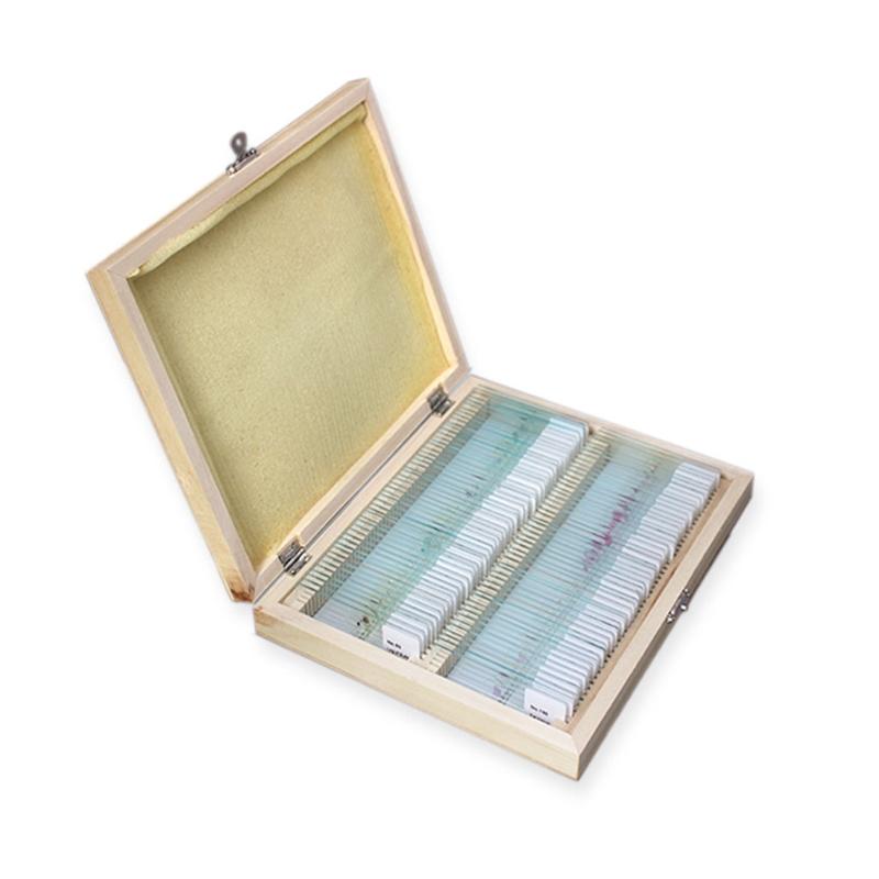 25/50/100 Pcs Prepared Premade Microscope Slides Set Basic Biological Science Education with Wooden for Case