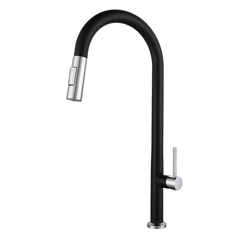 

TLXT Stainless Steel Pull-Out Kitchen Faucet