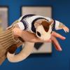 Have Magnets Sugar Glider Plush Toys Cozy Soft Animal Dolls Stuffed Plush Toy  Gift for Friends