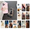 Phone Case For iphone 17 Pro Air 17ProMax 16 15 14 13 Pro Max 16 15 14 13 Pro 15Plus foal Horse