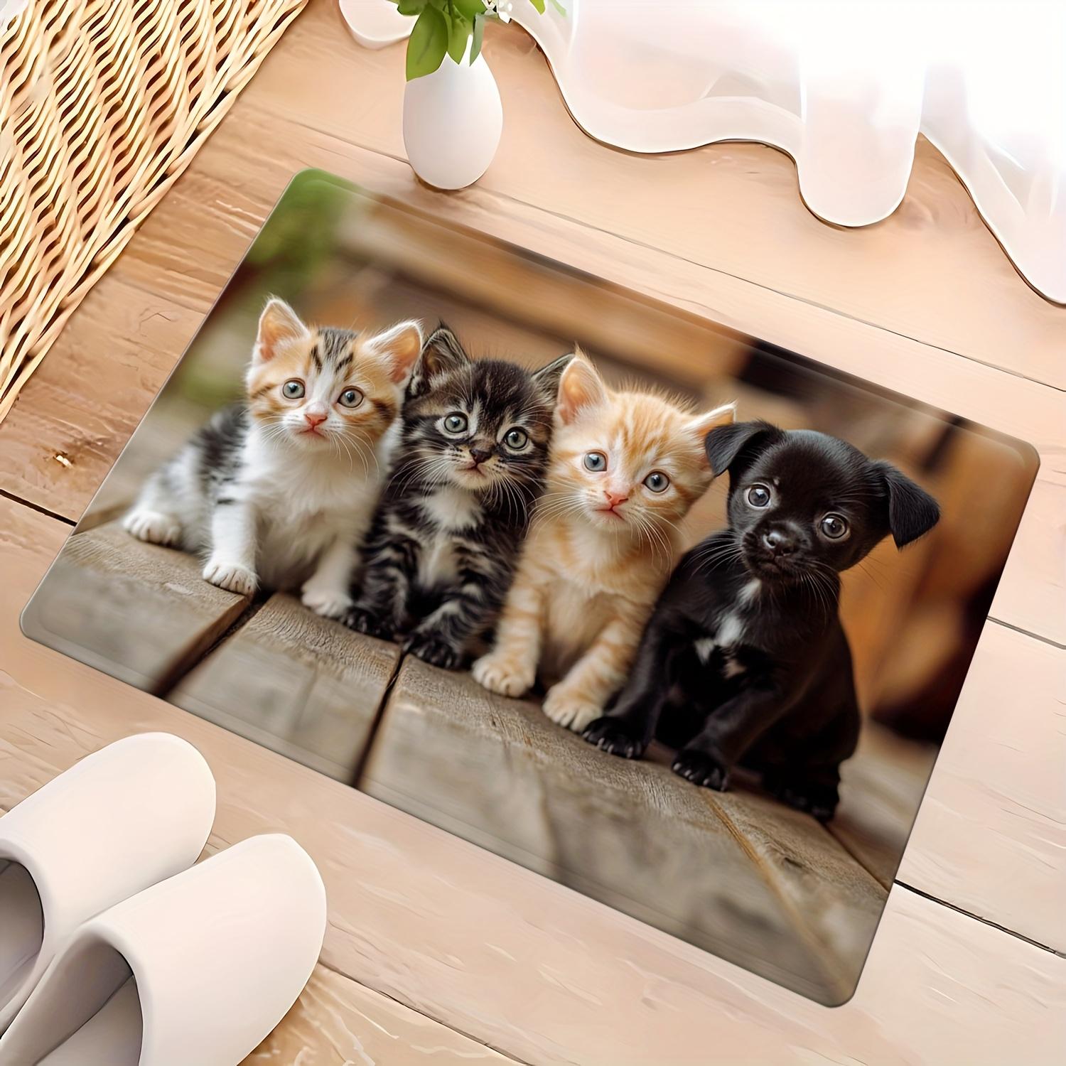 

Cute cat and dog patterns Flannel-printed floor mats has a non-slip function is suitable for entrances bathroom welcome carpets 40x60cm