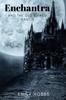 Libro Enchantra : And the Old Ruined Castle