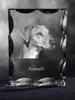 Azawakh, Tuareg Sloughi – Crystal with a picture of a dog, glass statuette with a picture | Art-Dog