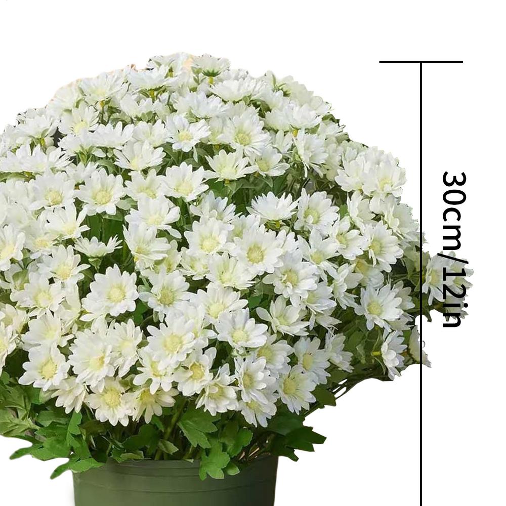 

Artificial Mums for Outdoors 10-Bundle Artificial Outdoor Sunset Mums Fall Flowers Weather Resistant Plants Home Decorations for білий