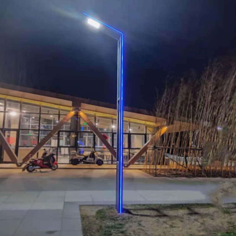 Jun Dingying 3-Meter Waterproof Aluminum Courtyard Light