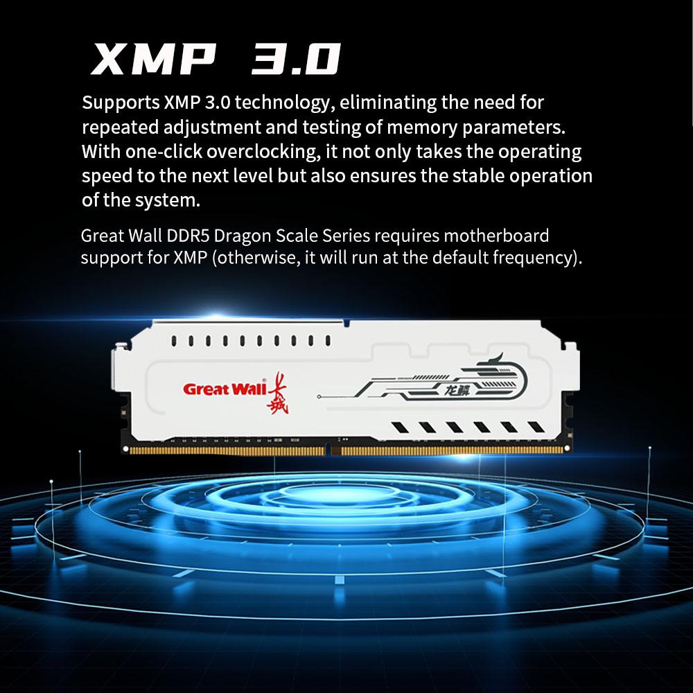 Speichermodul Great Wall GWP5L DDR5 6000MHz 16GB Desktop-Speichermodul