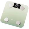 Smart Bluetooth Body Fat & Weight Scale (CN Version)
