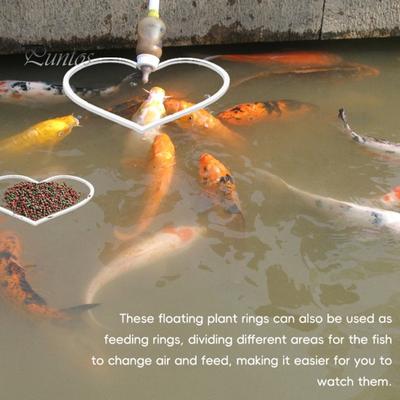 5 pezzi Anelli di alimentazione per pesci a forma di cuore Recinzione galleggiante per piante Acquario Protezione per lenticchie d'acqua Acquario Anello di alimentazione Accessori per Betta