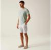 Regatta Шорты Bendrick