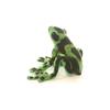 Green Poison Dart Frog No.5224