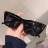 Trendy Cat Eye Sunglasses for Women Retro Square UV400 Protection Summer Fashion Shades