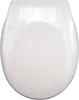 Soft-close toilet seat / 75470 / FALA