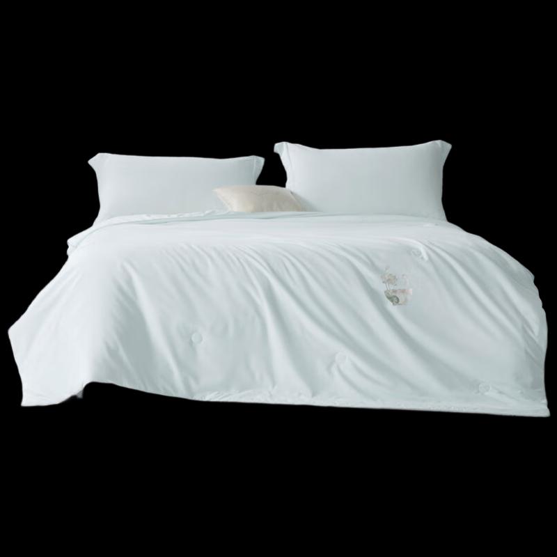 

Mercury Home Textiles Tussah Silk Summer Quilt