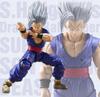 Figura de la bestia Son Gohan