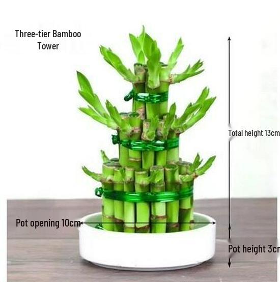 Prosperity Bamboo Tower: Hydroponic Indoor Plant for Wealth and Fortune