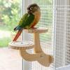 Bite Resistant Parrot Play Rack Wear Resistant Parrot Perch Platform Bird Training Stand  Small Pet