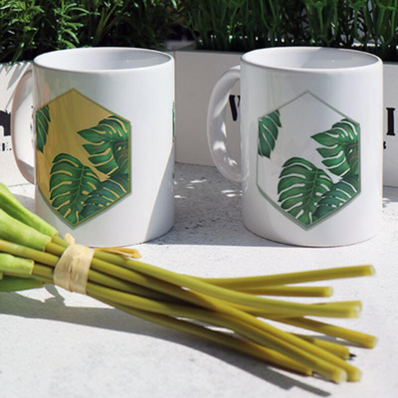 

ci507-Design Mug 2p-Hexagonal Monstera