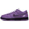Dunk Purple Whirlwind Synthetic Leather Abrasion Resistant Low Top Skateboard Shoes Women's Night Purple DD1873-108(Team1291-)
