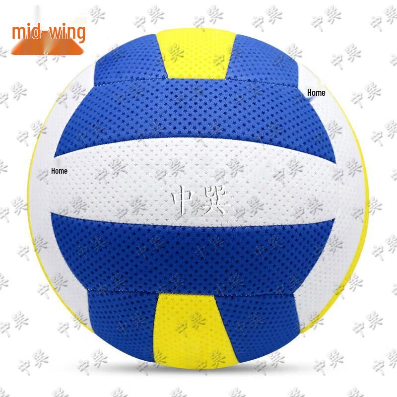 Size 5 Competition Air Volleyball