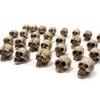 40pcs Resin Skull Mini Skull Figurines for Home Decor and Garden Landscaping Handmade Resin Ornaments