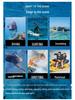 Diving Boots: 5MM Non-Slip, Wear-Resistant for Beach, Surfing, River, Snorkeling, and Rescue