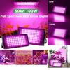LED Plant Grow Light 50W 100W Full Spectrum Phyto Lamp For Veg And Flower Indoor Hydroponics System Heat Dissipation Grow Lamp