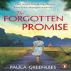 The Forgotten Promise by Paula Greenlees Paperback Book 9781529158397