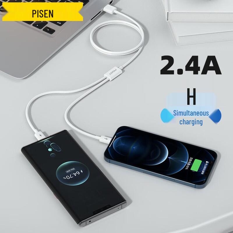 PISEN 2-in-1 Fast Charging Cable for Apple & Type-C