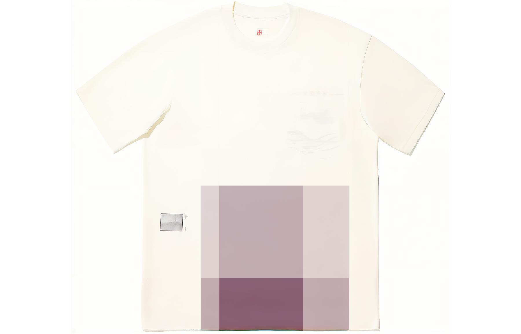 Li Ning T Shirts Unisex Ecru Crew Neck Moderate Straight Fit AHSU233-1 L