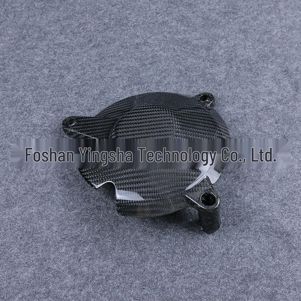 2015-2018 BMW S1000RR Carbon Fiber Engine Cover