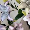 20inch Artificial Lily Flower Fake Real Touch Lily with 2 Heads Blooms 2 Buds for Home Office Decor Wedding Party Spring Table