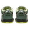 Nike SB Dunk Low Concepts Green Lobster Scatola Speciale BV1310-337(S-BOX)