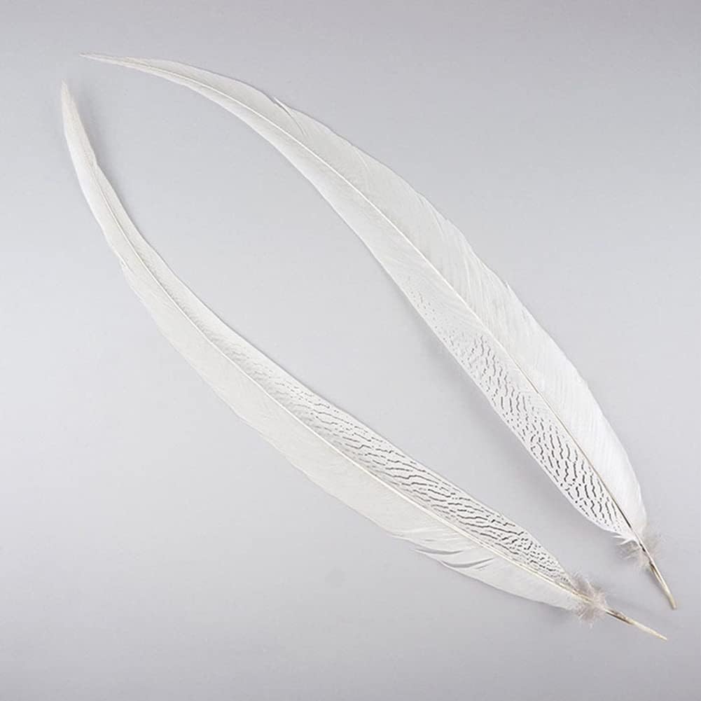 Pheasant Feathers 10 Pieces, White Natural Pheasant Feathers Decorative Chicken Tail Feathers for DIY Crafts, Birthday, Wedding Party Centerpieces,