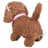 NEW Play Together Toy Poo Mocha Plush Toy Let's