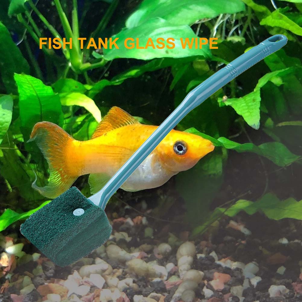 Double-sided Aquarium Algae Scrubber Long Handle Fish Tank Algae Remover Brush Multifunction Aquarium Accessories
