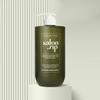 Salon.zip Protein Recharging Shampoo + Shampoo Brush + Recharging Hair Oil  Mini