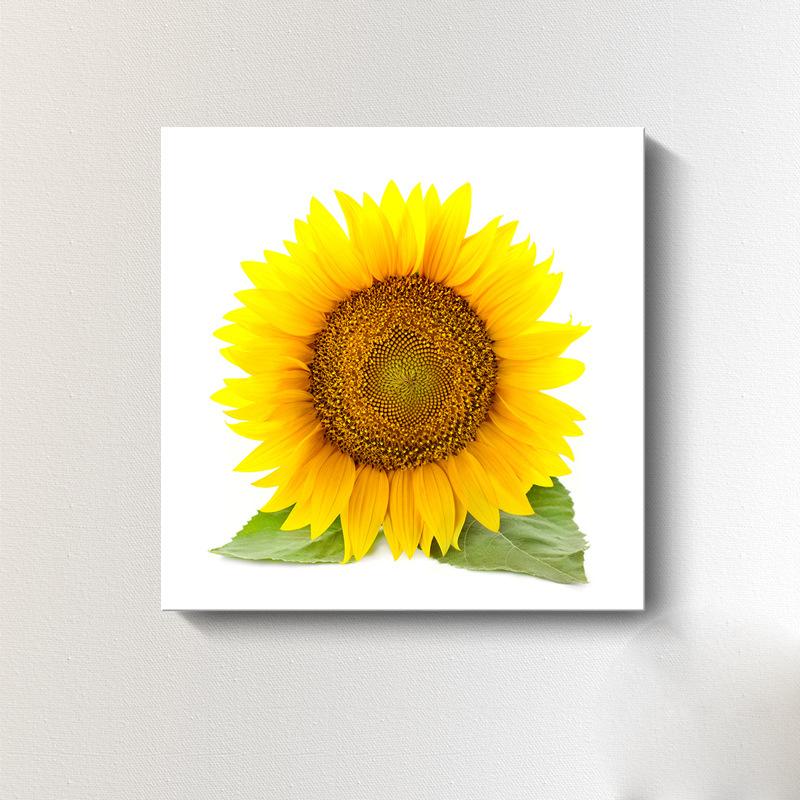 Moderne Sonnenblumen-Leinwandmalerei, nordische Landschaft, HD-Bilder, Blumenplakate und -drucke, Wandkunst, Bilder, Wanddekoration, kein Rahmen