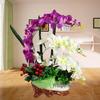 Phalaenopsis Potted Plant – Artificial Flower Arrangement for Home or Restaurant Decor