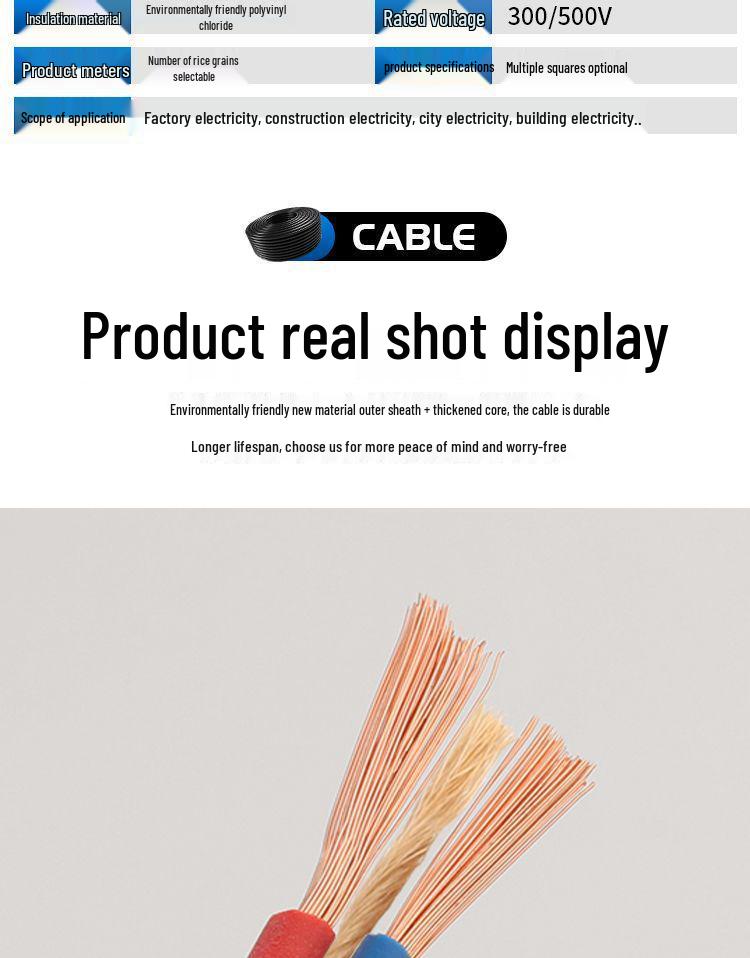 2-Core Waterproof Outdoor Power Cable, Extra Thick Beef Tendon, 2.5mm² Antifreeze Soft Wire with Plug.