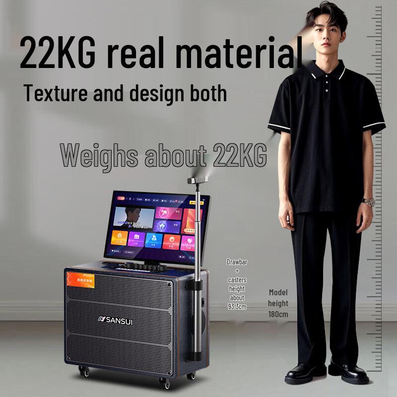 Sansui Q129 Portable KTV Bluetooth Speaker System