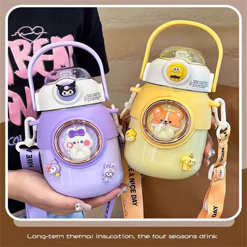 Taozhi 316 Stainless Steel Insulated Water Bottle