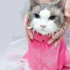 Protective Anti Scratching Bathing Injecting Nail Clipping Training Wash Bag Cat Grooming Bag