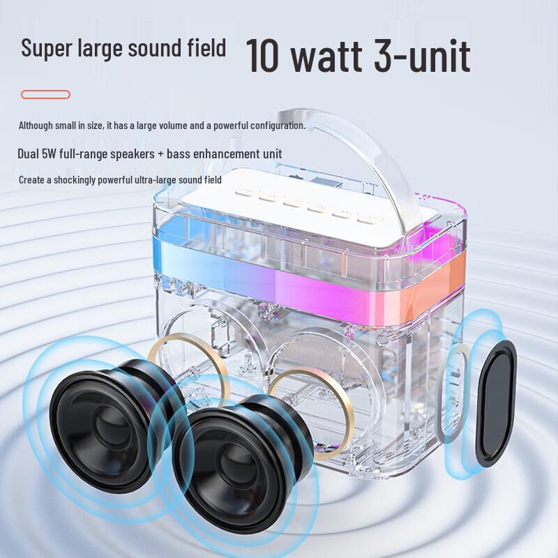 Newmine DP99 Wireless Bluetooth KTV Microphone Speaker Set