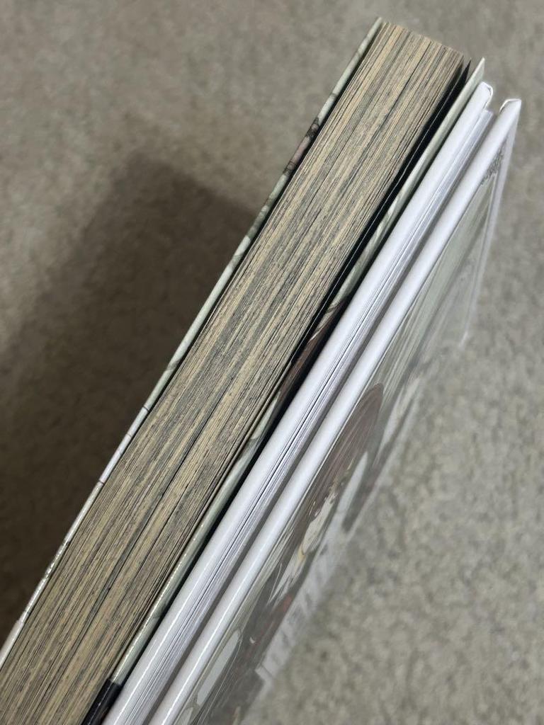 [USED] Vampire Knight Limited Edition Volume 19 Illustrations Bonus Special Edition with Art Book