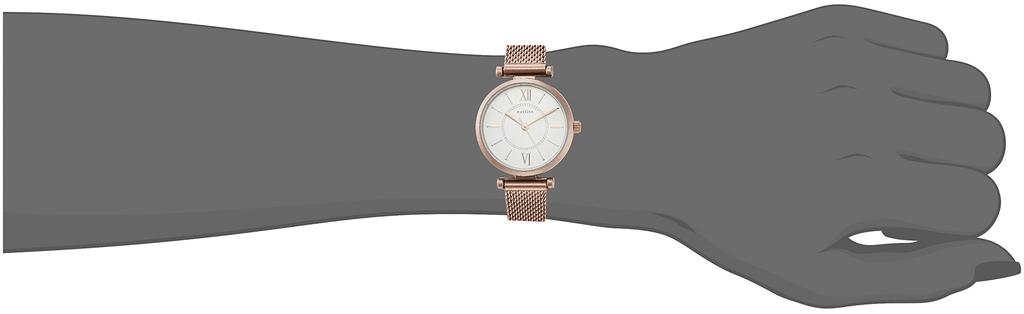 Fieldwork Eliza Analog Watch with Mesh Brown Strap, GY035-4, Women's,